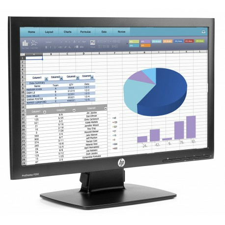 Ecran HP ProDisplay P202 (20 pouces) 2