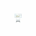 Ricoh Corp RICOH Tableau Interactif D5500 - Chrome 6