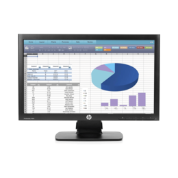 Ecran HP ProDisplay P202 (20 pouces)