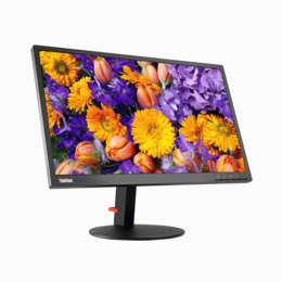 Ecran Lenovo ThinkVision E24-10 (23.8 Pouces)